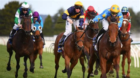who owns sportsbet|Merger of Sportsbet and BetEasy owners signed off .